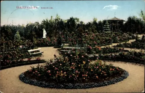 Ak Sangerhausen, Rosarium