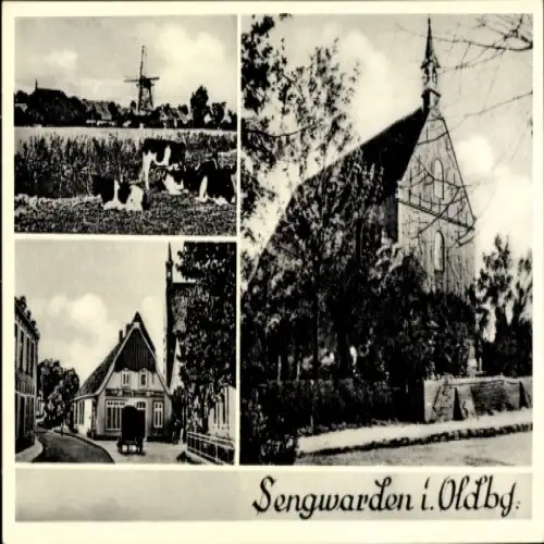 Ak Sengwarden Wilhelmshaven in Niedersachsen, Kirche, Windmühle, Ortspartie, Rinder