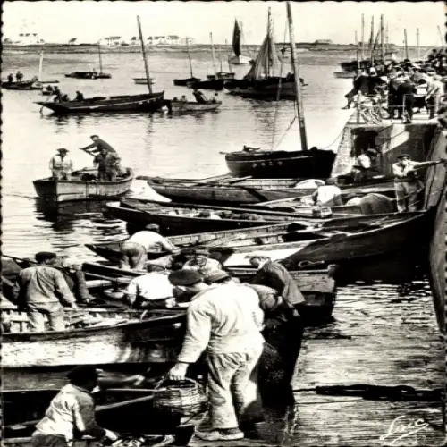 Ak Quiberon Morbihan, Port-Maria, Debarquement de la Sardine