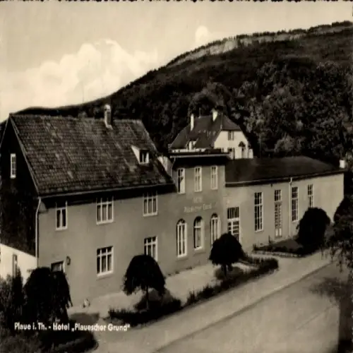 Ak Plaue in Thüringen, Hotel Plauescher Grund, Gebäudeansicht, umgebende Natur