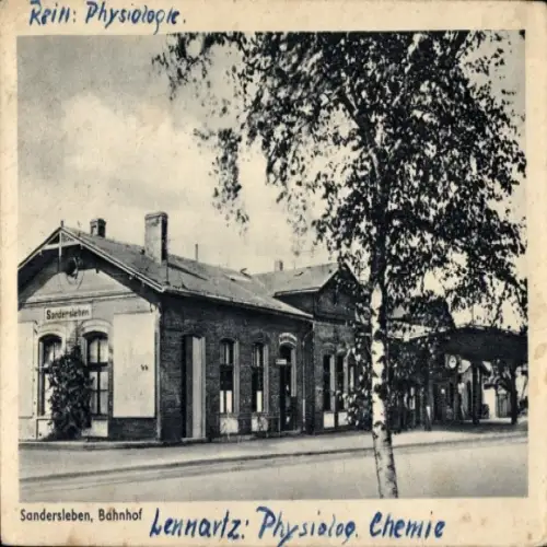 Ak Sandersleben in Anhalt, Bahnhof