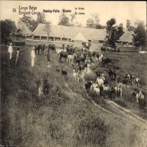 Ganzsachen Ak DR Kongo Zaire, Stanley Falls, Romee, Bauernhof