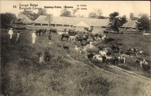 Ganzsachen Ak DR Kongo Zaire, Stanley Falls, Romee, Bauernhof