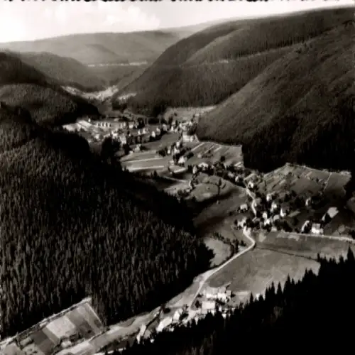 Ak Bad Wildbad im Schwarzwald, Luftaufnahme des Ortes, Schwarzwald, bewaldete Berge, landwirtscha