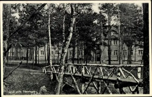 Ak Świebodzin Schwiebus Ostbrandenburg, Tiborlager, Waldlandschaft, Holzbrücke, Gebäude im Hinter