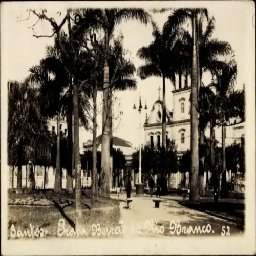 Ak Bahia Brasilien, Park mit Palmen, Gebäude im Hintergrund, Schwarz-Weiß