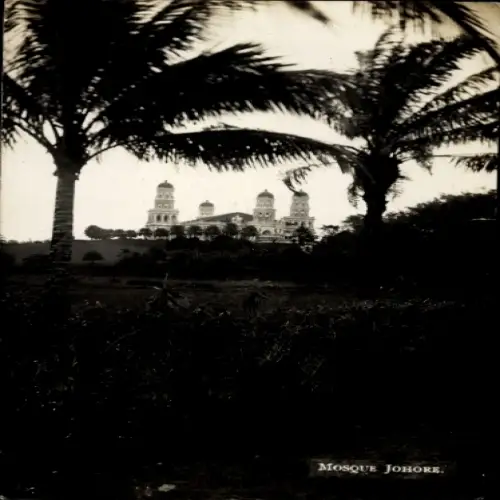Foto Ak Johore Johor Malaysia, Moschee, Palmen