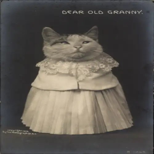 Ak Dear Old Granny, Vermenschlichte Katze in einem Kleid