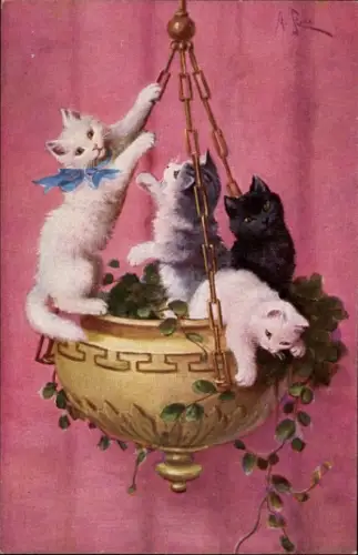 Künstler Ak Stone, A., Vier junge Katzen in einem hängenden Pflanzgefäß