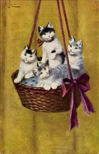 Künstler Ak Stone, A., Vier junge Katzen in einem hängenden Korb, Schleife