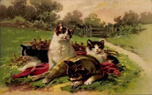 Präge Ak Katzenfamilie, Kätzchen, Wiese