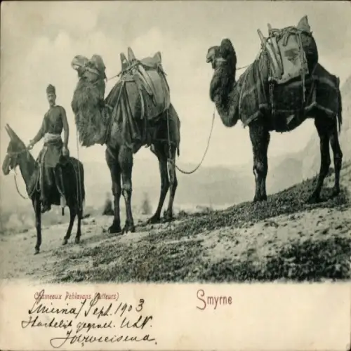 Ak Smyrna Izmir Türkei, Chameaux Pehlavans, lutteurs