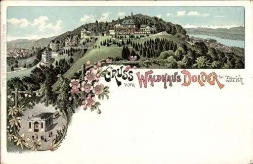 Litho Zürich Stadt Schweiz, Gruß vom Waldhaus Dolder