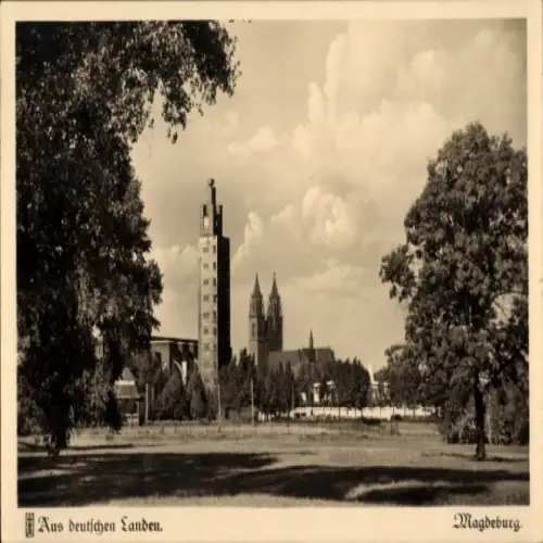 Ak Magdeburg an der Elbe,  Blick aus dem Stadtpark auf Ausstellungsturm und Dom