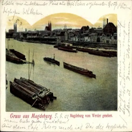 Ak Magdeburg an der Elbe, Panorama, Schiffe
