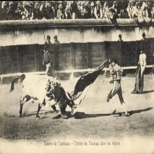 Ak Stierkampf, Course de Taureaux, Entrée du Taureau dans les Arènes