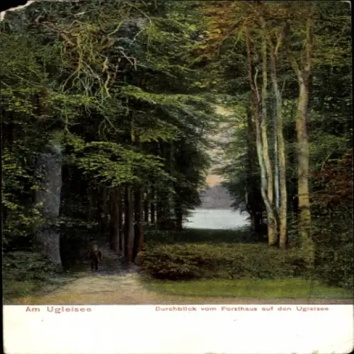 Ak Eutin in Ostholstein, Ugleisee, Uglei See, Durchblick vom Forsthaus auf den Ugleisee