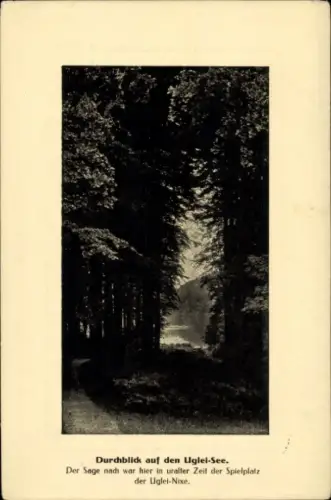 Ak Eutin in Ostholstein, Ugleisee, Uglei See, Durchblick auf den See