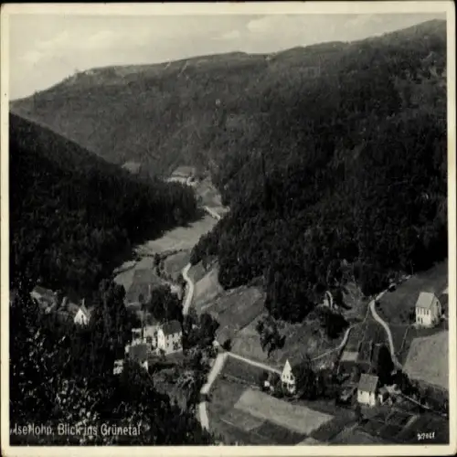 Ak Iserlohn im Märkischen Kreis, Blick ins Grünetal