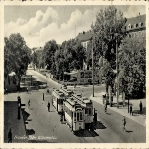 Ak Frankfurt an der Oder, Wilhelmsplatz, Straßenbahnen