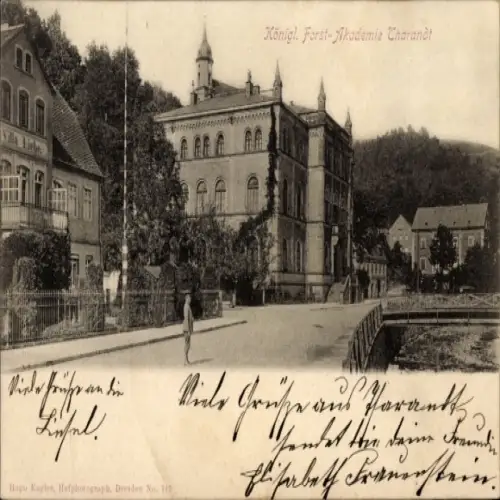 Ak Tharandt im Erzgebirge, Königliche Forstakademie