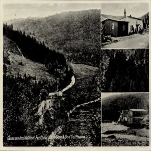Ak Bad Gottleuba in Sachsen, Waldlandschaft, Forsthaus, Unwetternachwirkungen, Nostalgische 