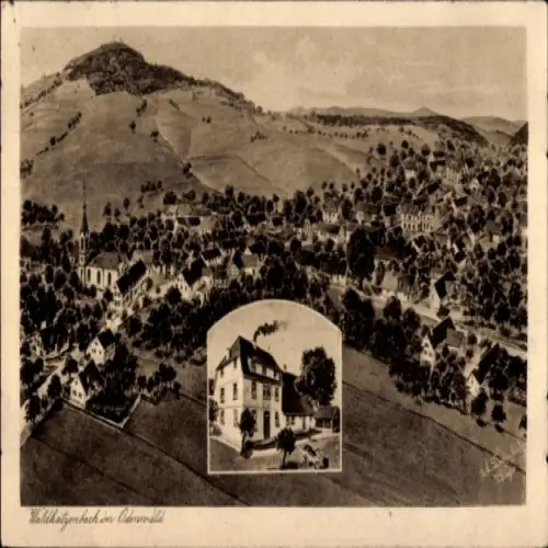 Ak Waldkatzenbach Waldbrunn im Odenwald, Panorama, Gasthaus zum Löwen