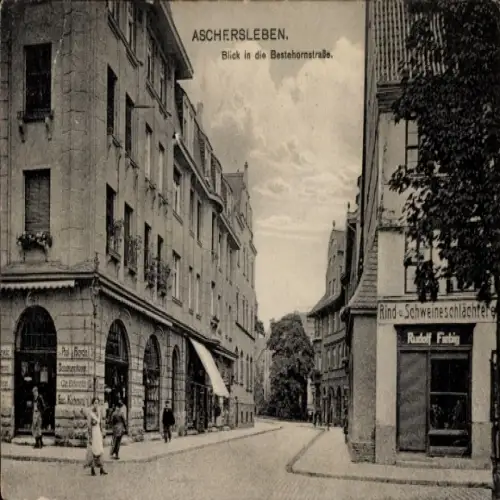 Ak Aschersleben im Salzlandkreis, Bestehornstraße, Rind- u. Schweineschlächtere, Rudolf Fiebig