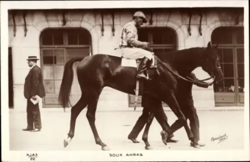 Ak Souk Ahras, Jockey auf einem Rennpferd