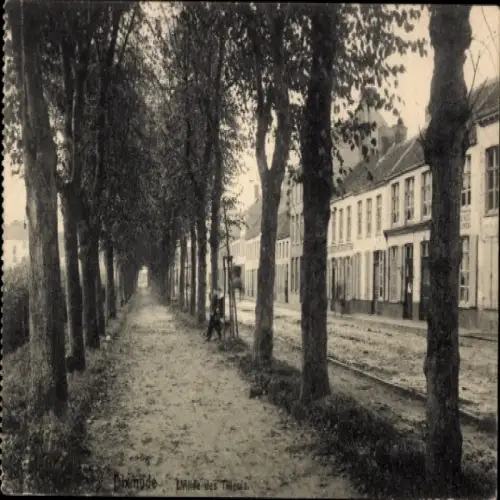 Ak Diksmuide Dixmude Westflandern, Den Lindenlaan, Allée des Tilleuls