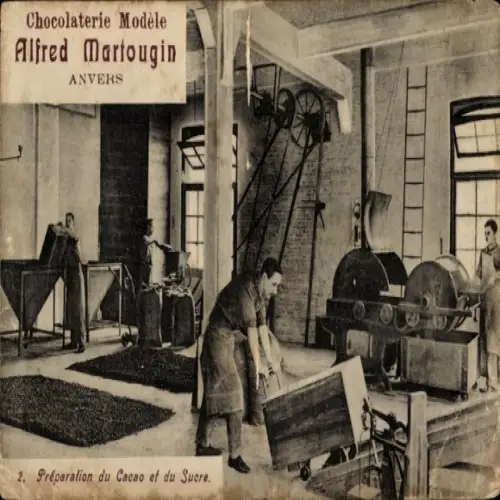 Ak Anvers Antwerpen Flandern, Chocolaterie Alfred Martougin, Preparation du Cacao