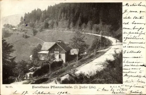 Ak Elsass Bas Rhin, Forsthaus Pflanzschule, St. Diedler Höhe