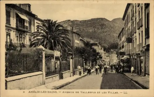 CPA Amélie les Bains Pyrénées Orientales, Avenue du Vallespir et les Villas