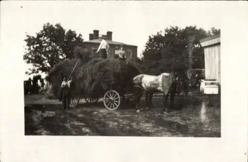 Foto Landwirtschaft, Pferdefuhrwerk wird mit Heu beladen