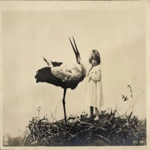 Ak Kleinkind in einem Storchennest, Storch