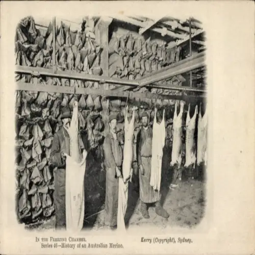 PC History of an Australian Merino, Freezing Chamber
