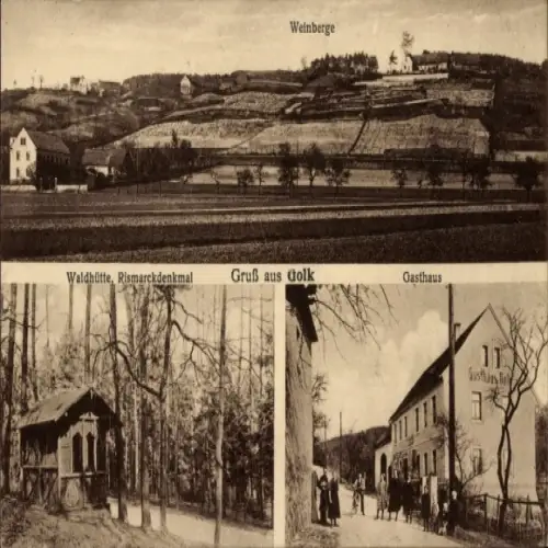 Ak Golk Diera Zehren in Sachsen, Weinberge, Waldhütte, Bismarckdenkmal, Gasthaus