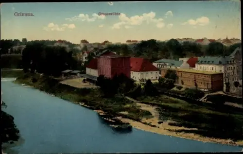 Ak Grimma in Sachsen, Gesamtansicht, Großmühle