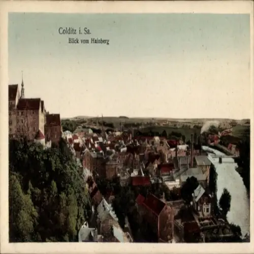 Ak Colditz in Sachsen, Gesamtansicht, Hainberg