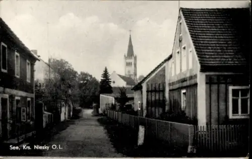 Ak See Niesky in der Oberlausitz, Straße, Häuser, Kirche