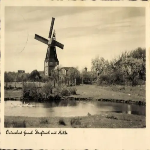 Ak Ostseebad Graal Müritz, Dorfteich, Mühle
