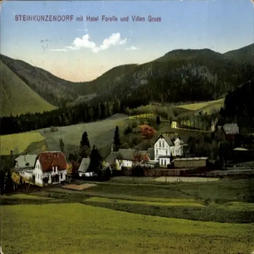 Ak Kamionki Steinkunzendorf Schlesien, Berglandschaft, Hotel Forelle, Villen, Grün, sanfte Hügel