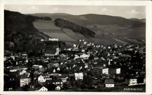 Ak Gozdnica Freiwaldau Schlesien, Gesamtansicht