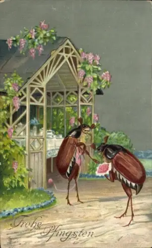 Ak Glückwunsch Pfingsten, Maikäfer