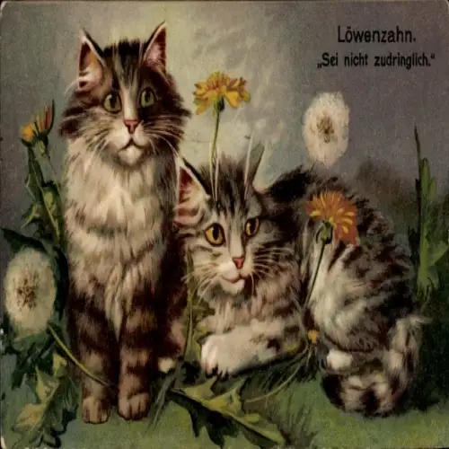 Künstler Ak Katzen, Löwenzahn, Sei nicht zudringlich