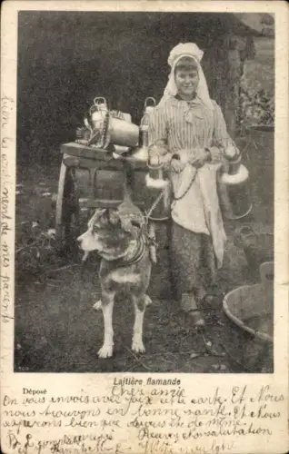 Ak Flämisches Milchmädchen, Arbeitshund, Volkstracht
