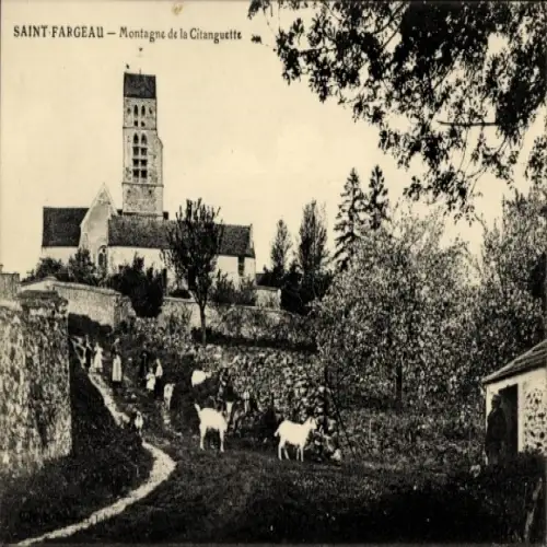 CPA Saint Fargeau Seine Port Seine-et-Marne, Montagne de la Citanguette