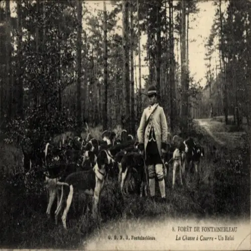 Ak Forêt de Caruelle Fontainebleau Val d'Oise, Jäger in der Forêt de  Jagdhunde, Waldlandschaft