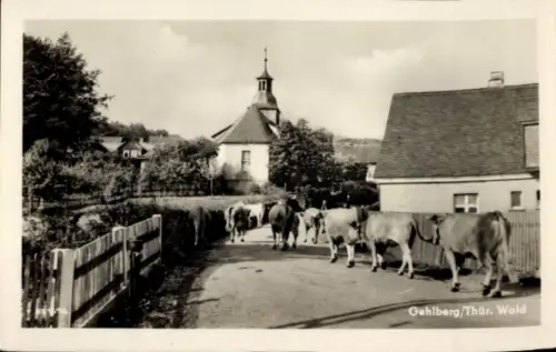 Ak Gehlberg Suhl in Thüringen, Straße, Rinder