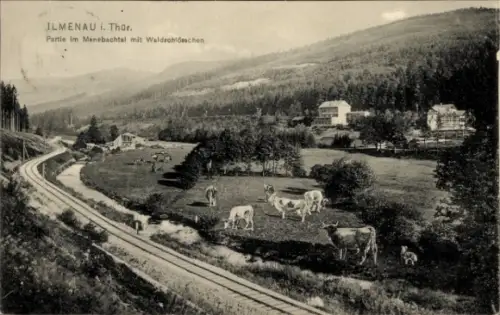 Ak Manebach Ilmenau in Thüringen, ILMENAU I. Thür, Partie im Manebachtal, Waldschlösschen, Kühe a